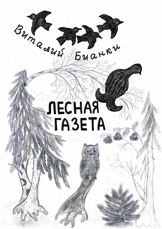 Лесная газета Бианки рисунки к рассказам
