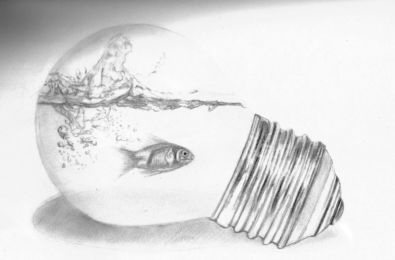 Интересные рисунки
