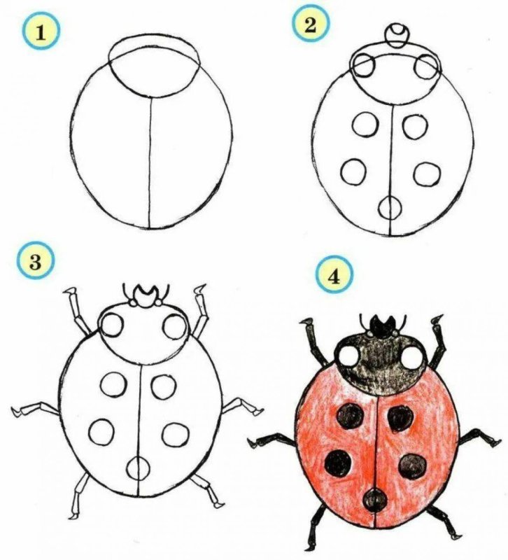 Схемы для рисования для детей 5-6 лет