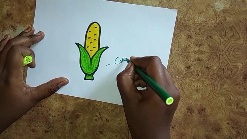 Кукуруза рисунок карандашом
