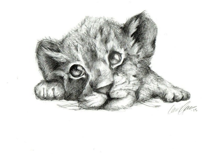 Эскизы рисунков карандашом