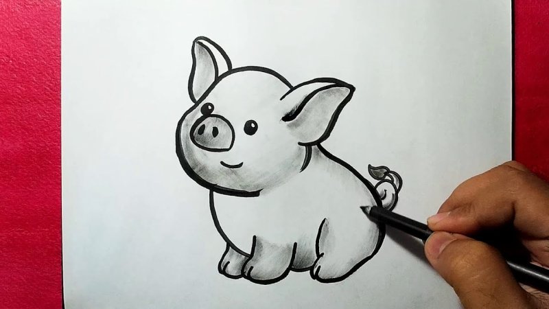Свинья рисунок легкий
