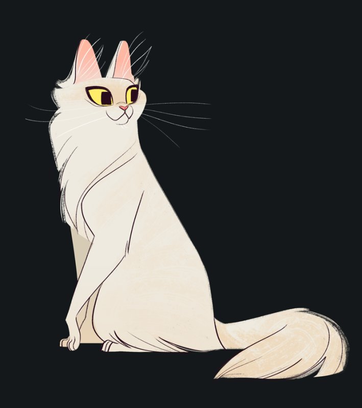 Heather Nesheim кошки