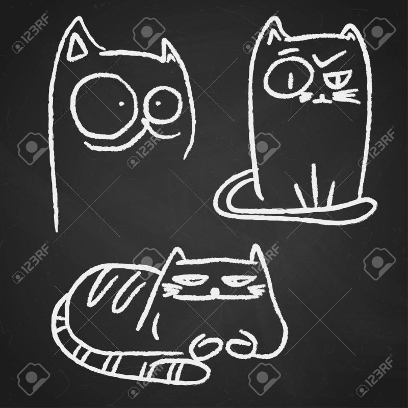 Котик мелом на доске