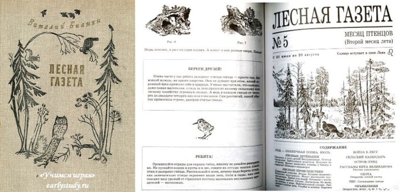Лесная газета Виталий Бианки книга