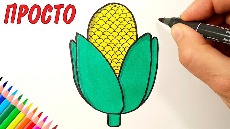 Как нарисовать кукурузу легко