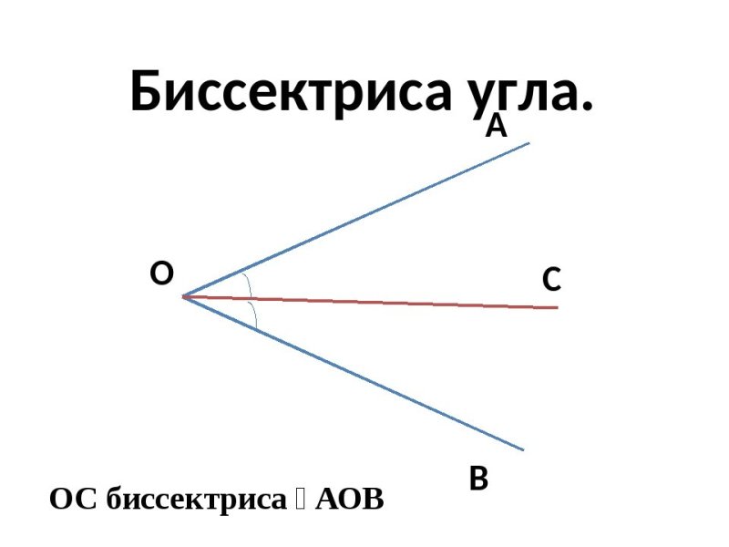 Биссектриса рисунок