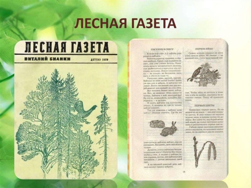 Книга Лесная газета