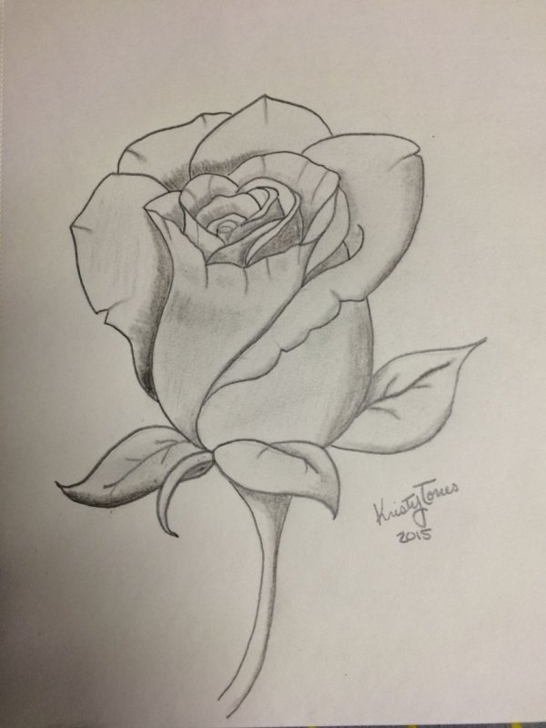 Рисунки цветов карандашом