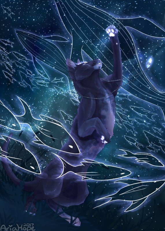 Коты Воители арт Aria hope