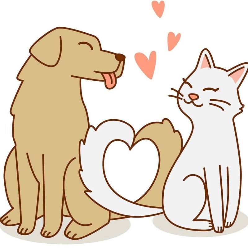 Кошка и собака рисунок