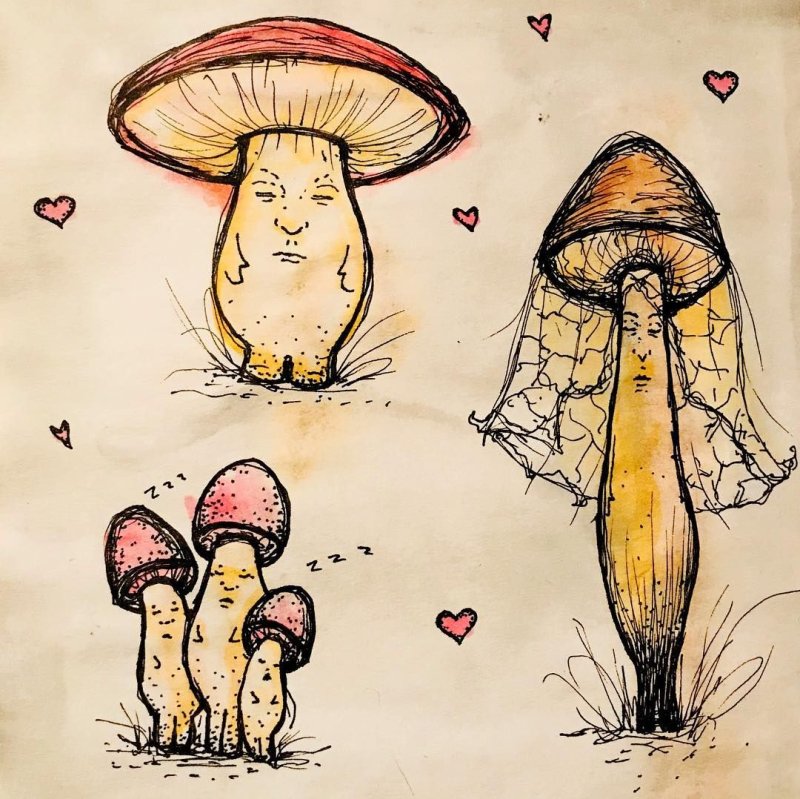 Рисунки необычных грибов