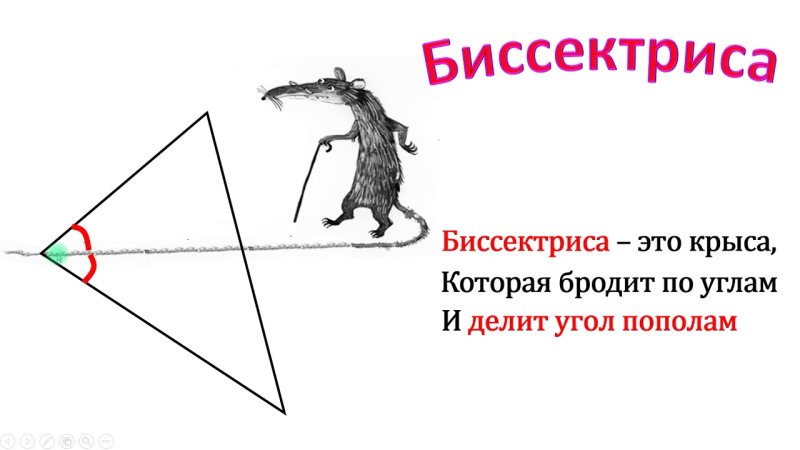 Стишок про биссектрису