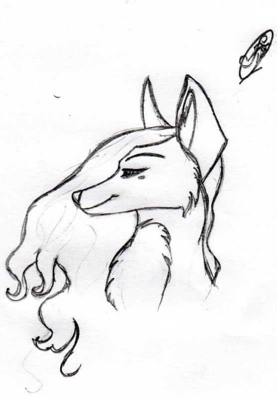 рисунок лисы для срисовки