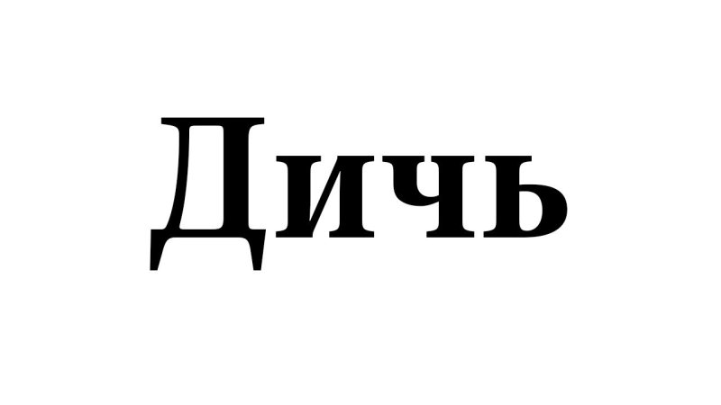 Дичь приколы