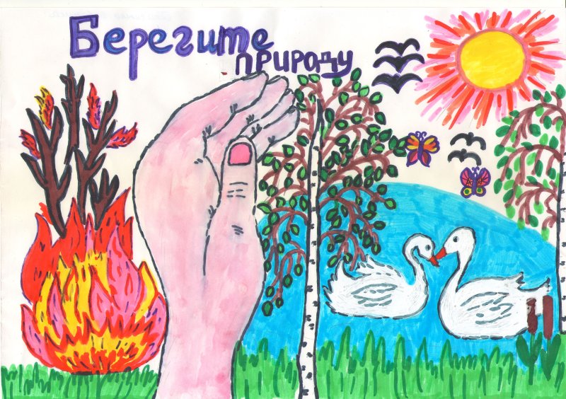 Рисунки по защите природы для детей