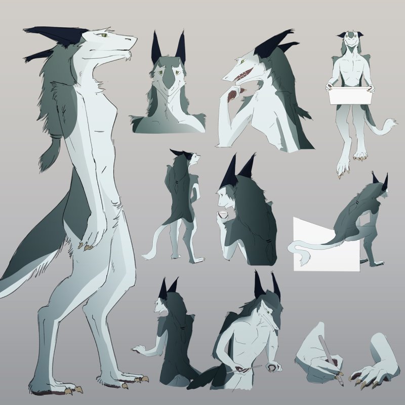 Сергал фурри анатомия