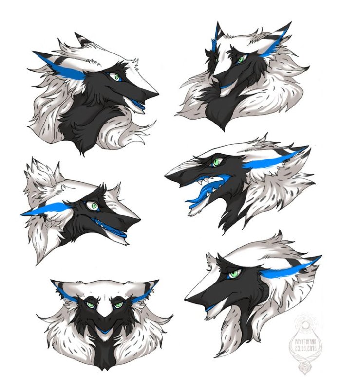 Сергалы фурсьюты