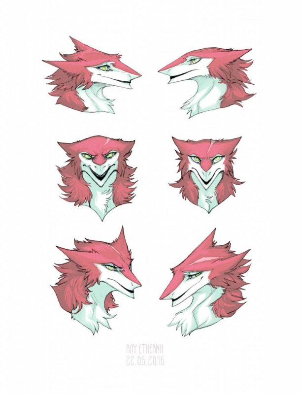 Сергал анфас