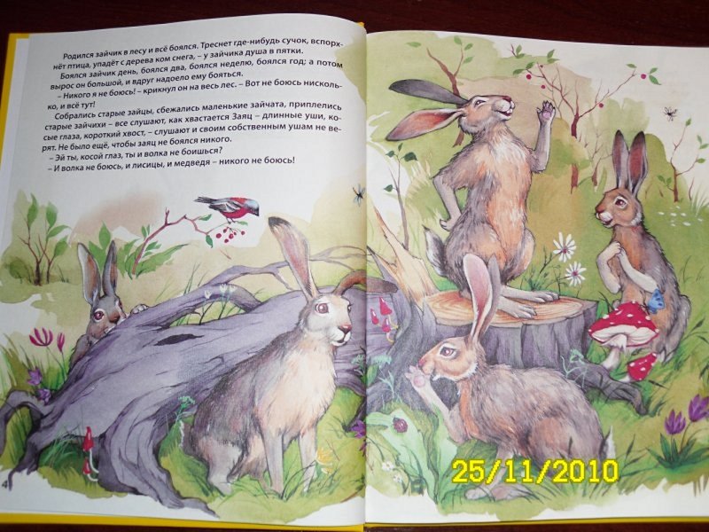 Аленушки сказки мамин Сибиряк