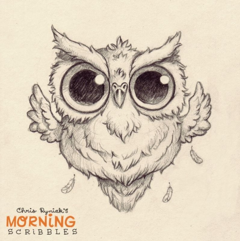 Рисунок Совы карандашом для срисовки