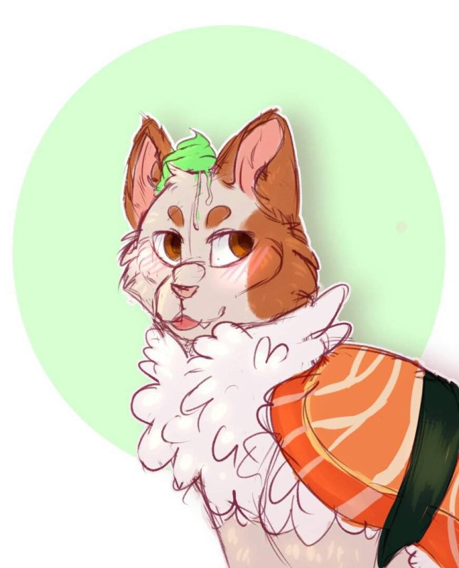 кастл кэтс амино