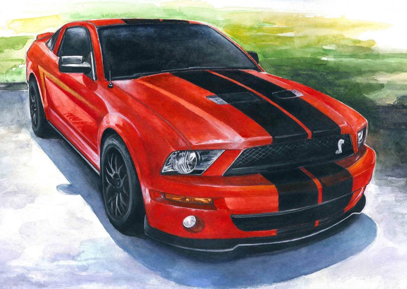 Раскраска Ford Mustang Shelby gt 500