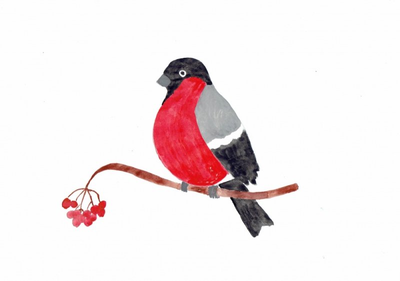 Рисование с детьми Снегирь