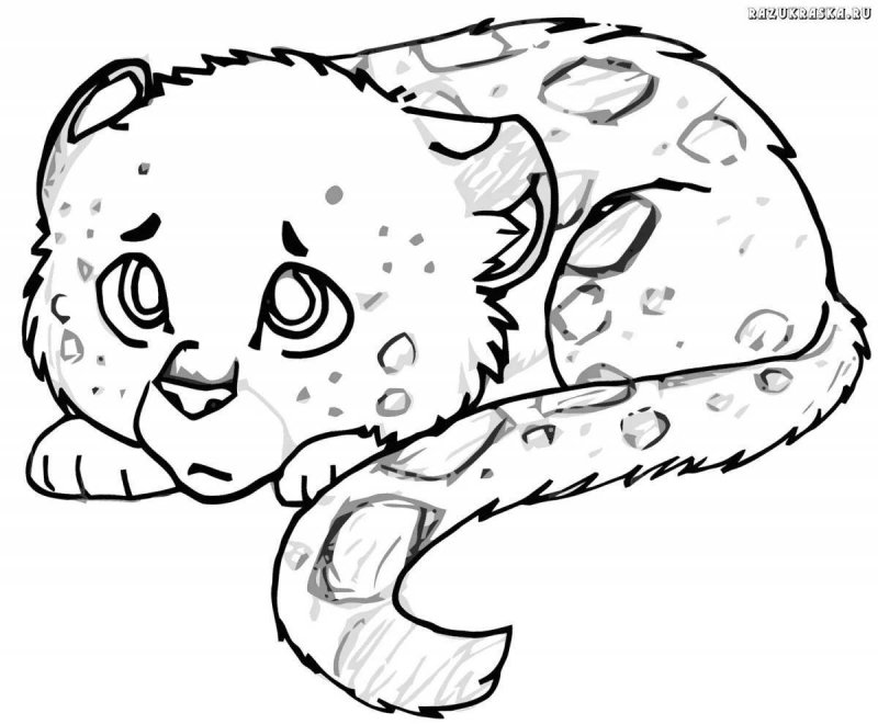 снежный барс рисунок для детей