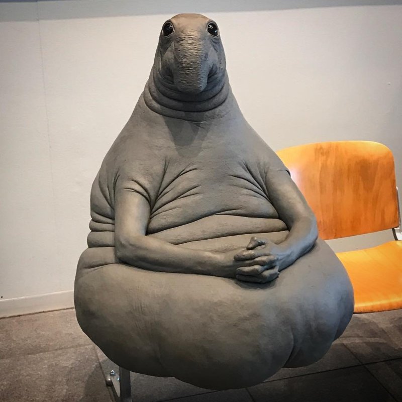 Ждун Игорь