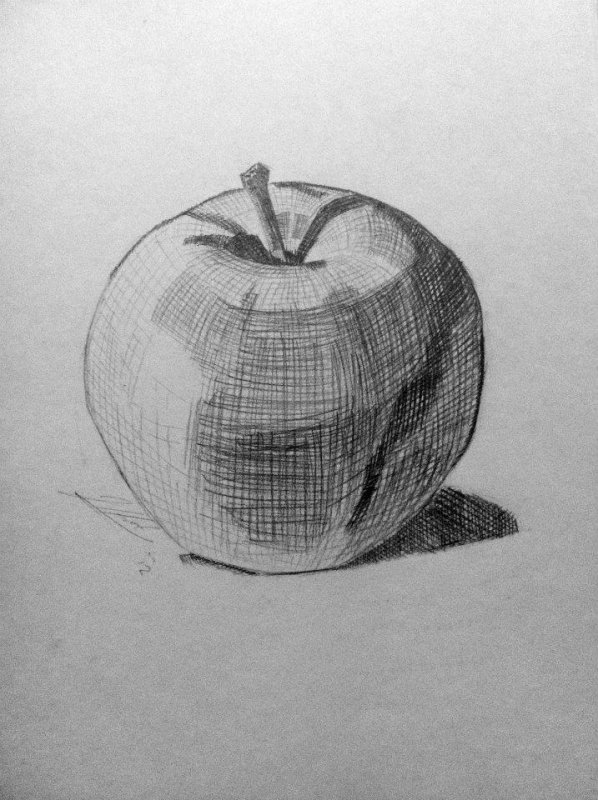 Яблоко натюрморт карандашом