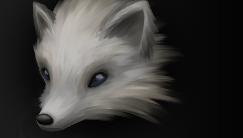Аниме песец