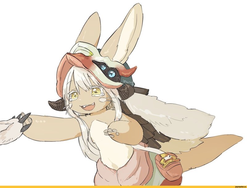 Nanachi faputa