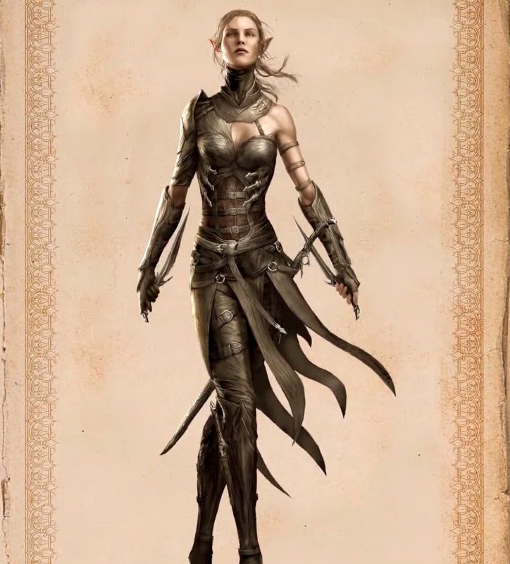 Divinity Original sin 2 хворь Art