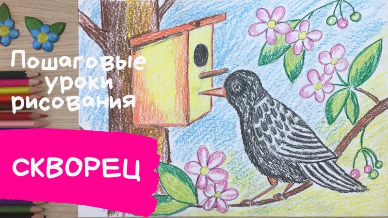 Рисование скворца