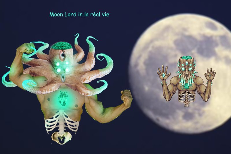 лунный лорд террария ххх