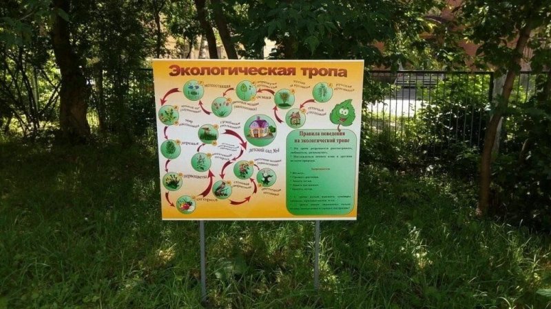 Экологическая тропа в ДОУ