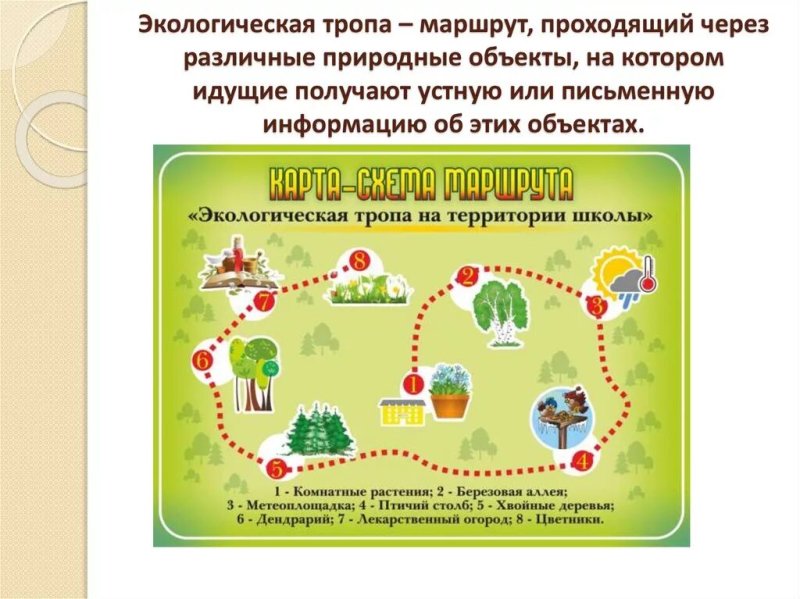 Экологическая тропа