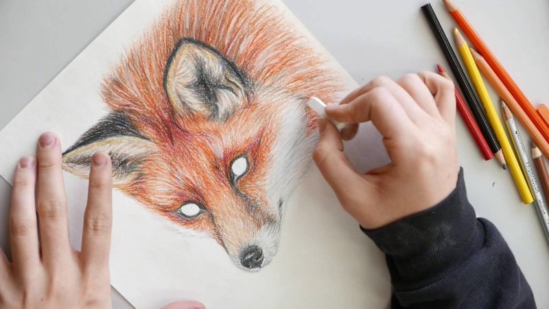 Красивые рисунки цветными карандашами
