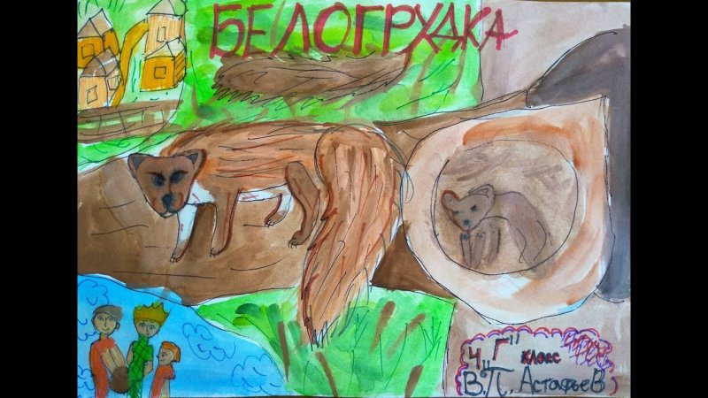 Рисунок к рассказу Белогрудка