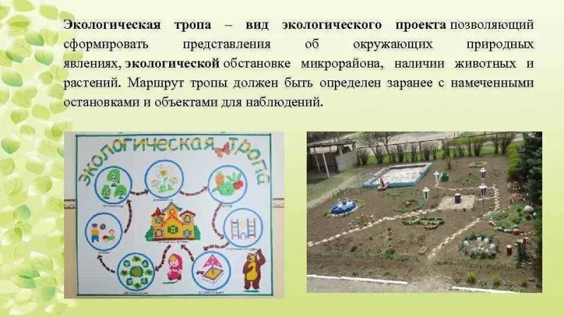 Экологическая тропа проект