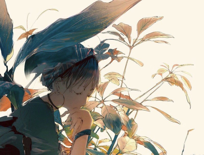 Procreate Art anime