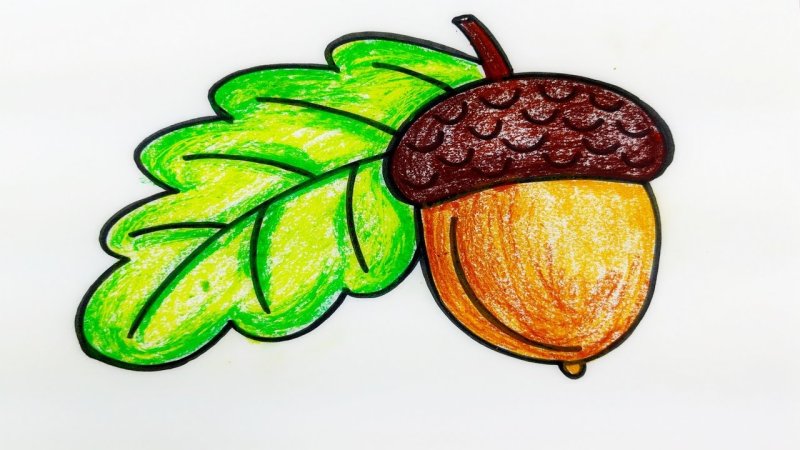 Желудь рисунок