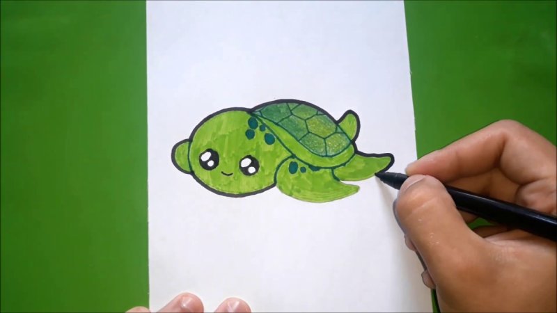 Рисунки для срисовки черепашка
