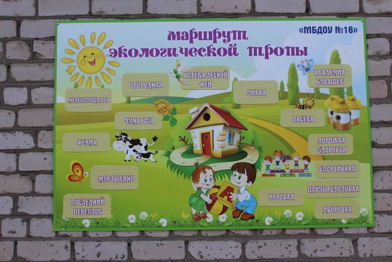 Экологическая тропа в детском саду