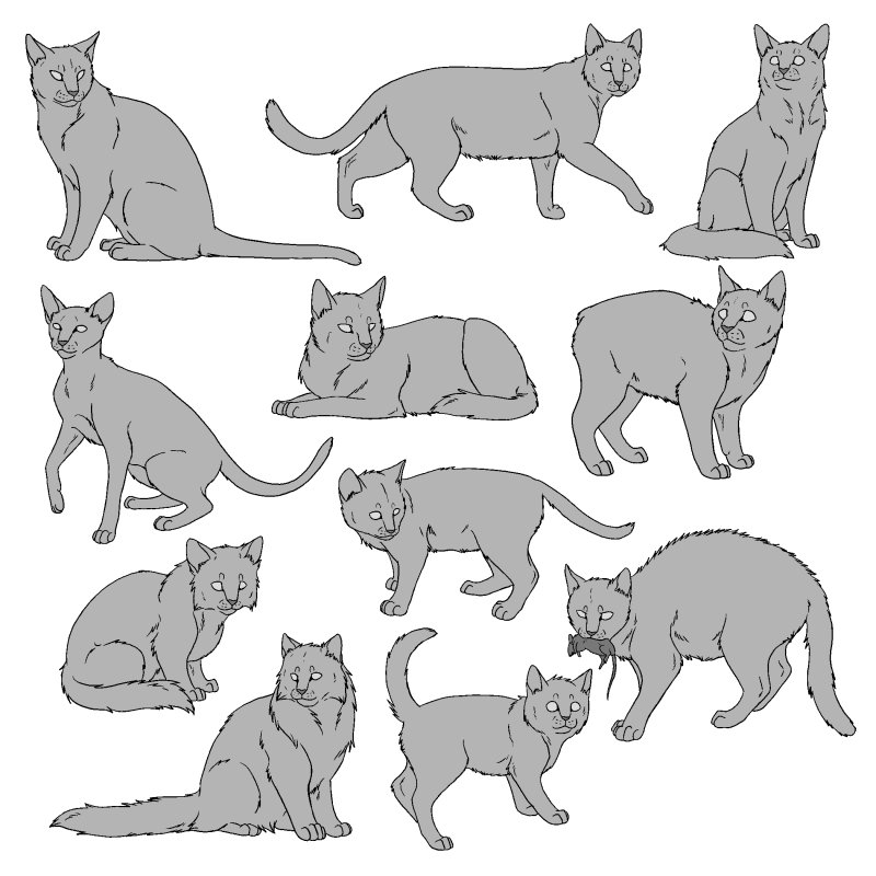 Коты Воители позы референс