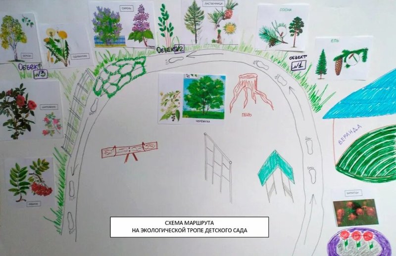 Экологическая тропинка в детском саду