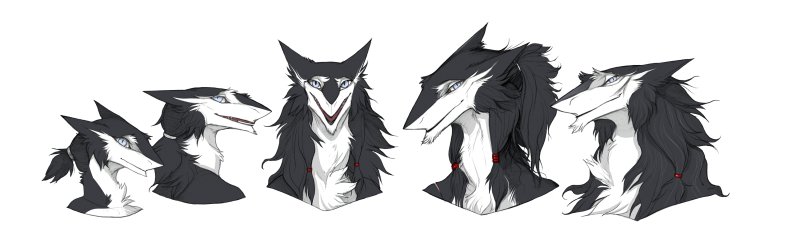 Сергалы самки