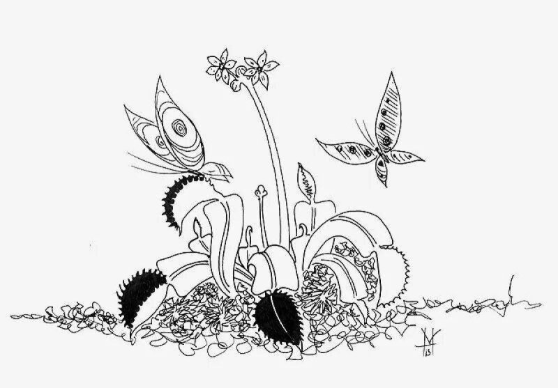 рисунок венерина мухоловка