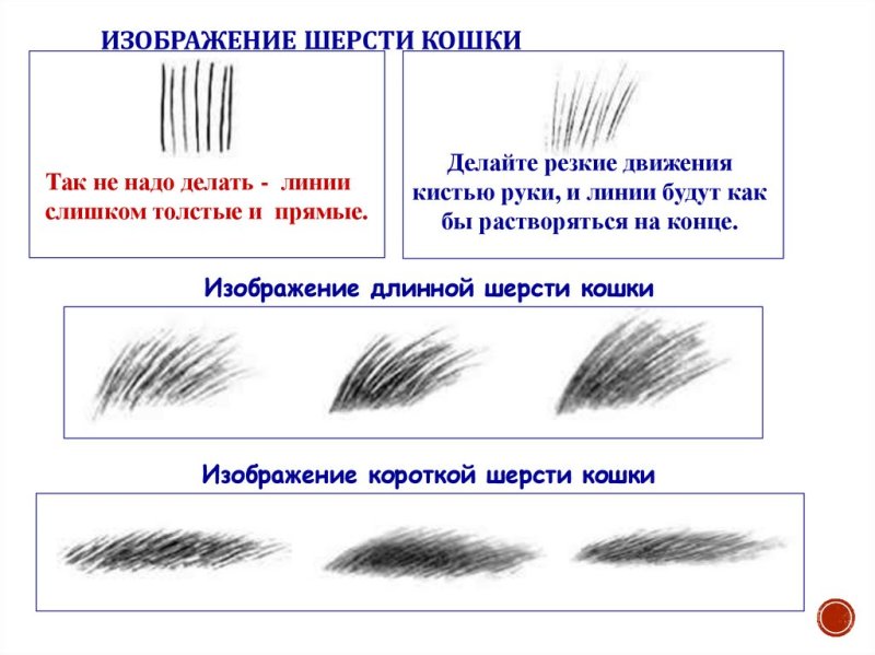 Зарисуйте шерсть животных